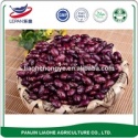 kidney beans - product's photo