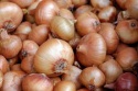 fresh yellow onions from kazachstan 2019 - product's photo