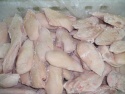 frozen chicken skinless boneless breast manufacturers & suppliers - product's photo