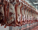 beef meat / argentina - product's photo