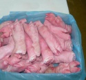 frozen pork feet / pork hind feet / pig feet / pig hind feet / frozen  - product's photo