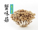 brown shimeji - product's photo