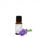 lavender essential oil - product's photo