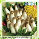 king oyster mushroom - product's photo