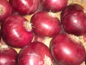 special grade fresh red and yellow onions wholesale  - product's photo