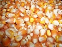 white and yellow maize - product's photo