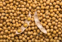 soya beans - product's photo