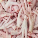 frozen processed chicken paws/feets - product's photo
