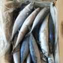 fish frozen style pacific mackerel food - product's photo
