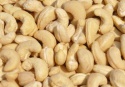 quality grade dried raw cashew nuts - product's photo