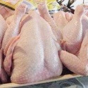 brazil halal frozen whole chicken, frozen chicken paws frozen processe - product's photo
