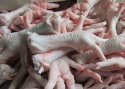 frozen chicken feet & paws, whole chiken - grade a processed  - product's photo
