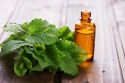 melissa essential oil - product's photo