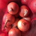 egyptian red onion (grade a) for sale. - product's photo