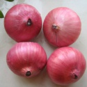 onions  - product's photo