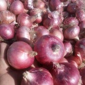 onions for sale  - product's photo