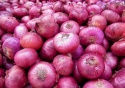 onions  - product's photo