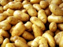 potato for sale  - product's photo