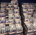 we offer red bull 250ml  - product's photo
