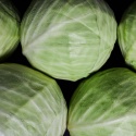whole white cabbage  - product's photo