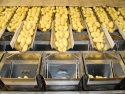 fresh potato for sale - product's photo
