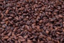  cocoa beans - product's photo