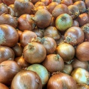 red and yellow onion - product's photo