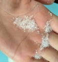 white refined sugar - product's photo
