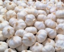 natural garlic - product's photo