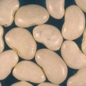 butter beans - product's photo