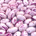 pinto or mottled beans  - product's photo