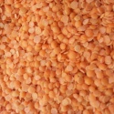 red lentils  - product's photo