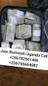 real illuminati agent call+256782561496/+256756664682 - product's photo