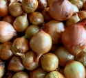 top quality fresh onion for sale - product's photo
