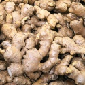 new crop fresh ginger vegetable  - product's photo