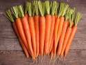 sweet carrot with good quality and price for exporting  - product's photo