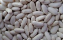 new crop superior natural specification kidney beans, red speckled kid - product's photo