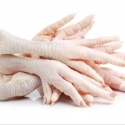 grade a processed frozen chicken feet/paws  - product's photo