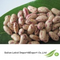 red spotted kidney beans  - product's photo