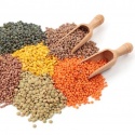 canadian red and green lentils - product's photo