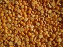 yellow split peas - product's photo