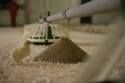 buy chicken broiler feeds - product's photo