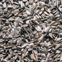 buy confectionary sunflower seeds - product's photo