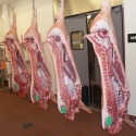 wholesale supply of frozen pork meat - product's photo