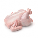 halal certified frozen whole chicken for sale wholesale frozen chicken - product's photo
