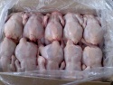 frozen whole chicken, chicken feet, chicken paws, chicken drumstick - product's photo