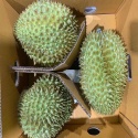 fresh durian fruit - product's photo