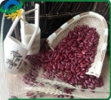 chinese dark red kidney beans - product's photo