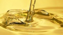 quality refined sunflower cooking oils - product's photo