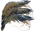 dried shrimp - product's photo